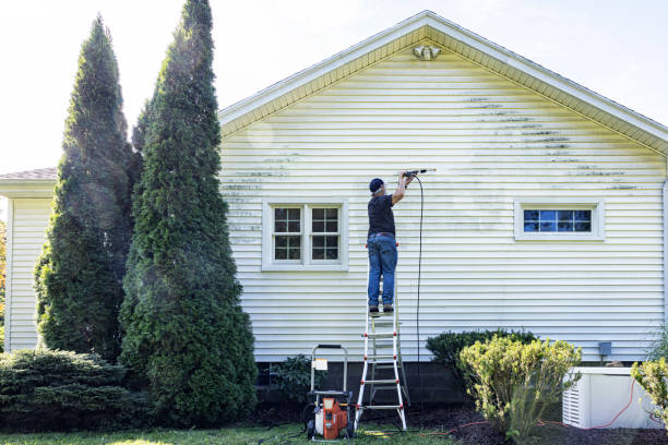 Best Eco-Friendly Pressure Washing in Saranac, MI